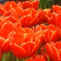 Марина Плотникова | Омск