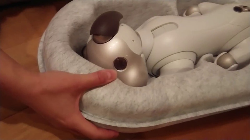 Sony aibo 2018