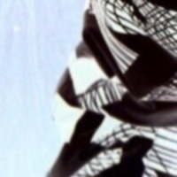 Вася Петров