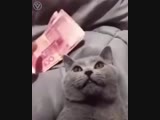 Деньги всё решают!