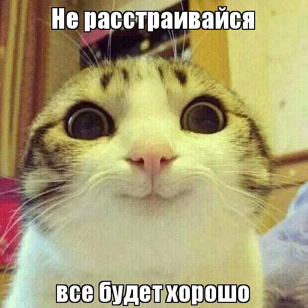 Не стоит расстраиваться Не стоит расстраиваться