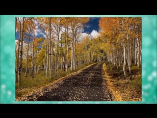 Удивительные факты о Земле