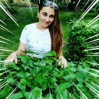 Наталья Матей |
