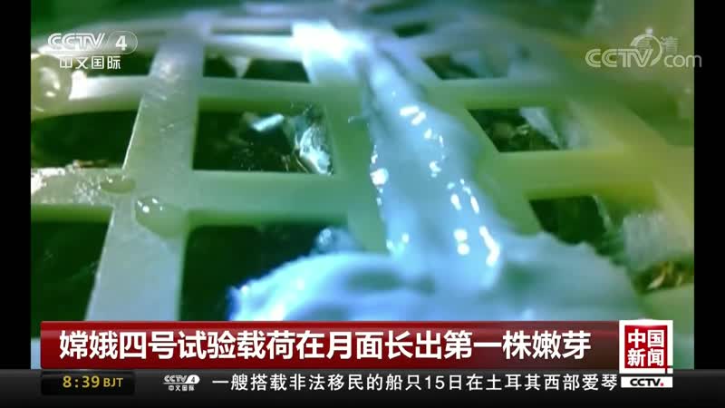 CCTV中文国际 ¦ 嫦娥四号试验载荷在月面长出第一株嫩芽