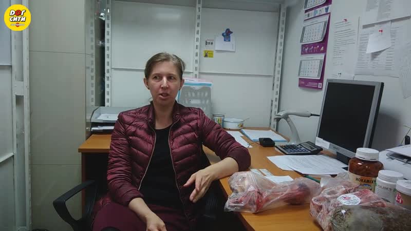 Давать ли собаке кости