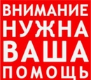 Объявление от Olechka - фото №1