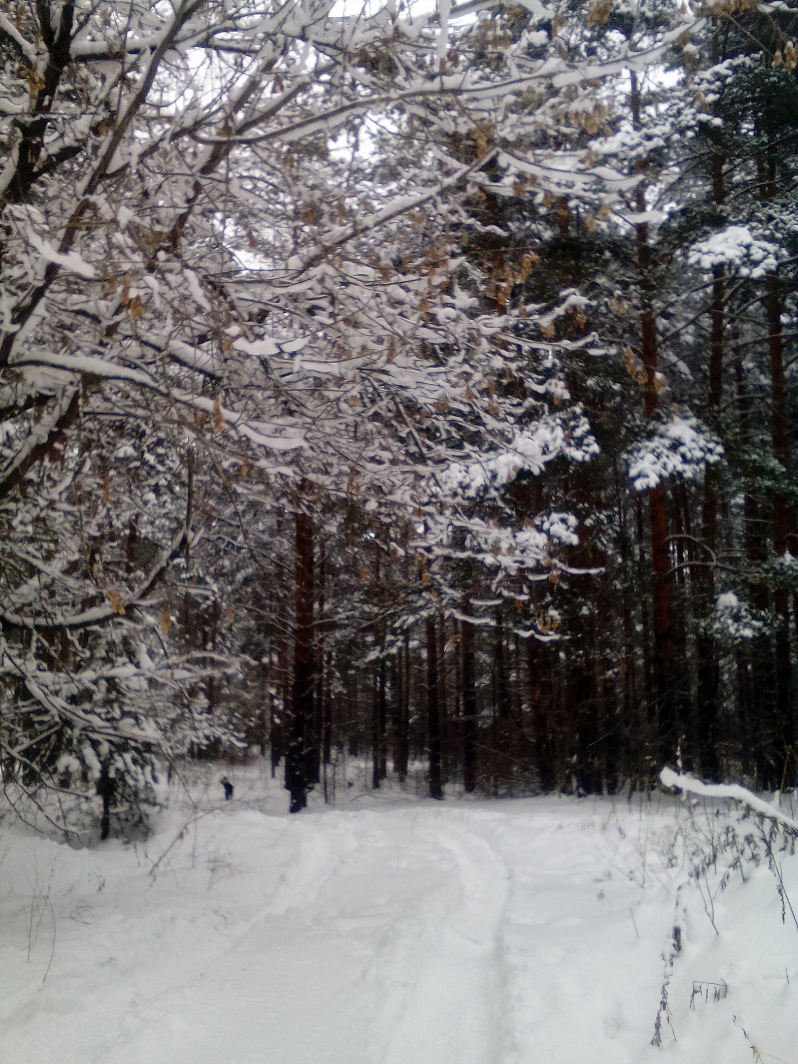 фотография из вКонтакте