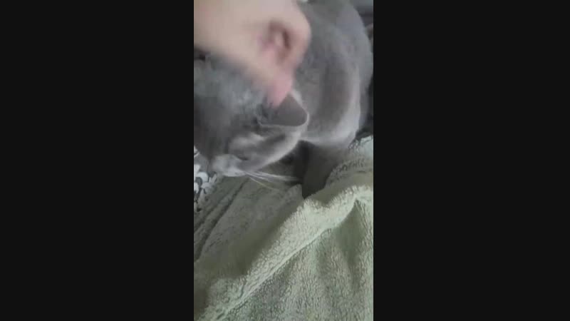 VID_43700415_161034_367.mp4