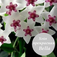 Петр Леонов |