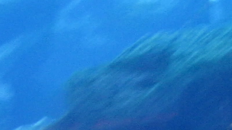 MVI_0290