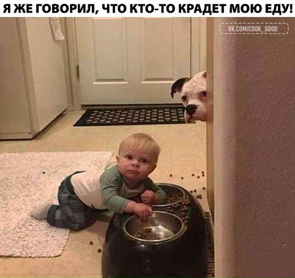 Пойман с поличным!