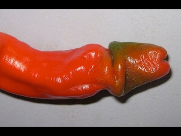 Penis Peppers, Because Why Not