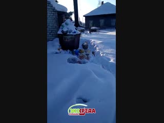 В Батырево не хотят вывозить