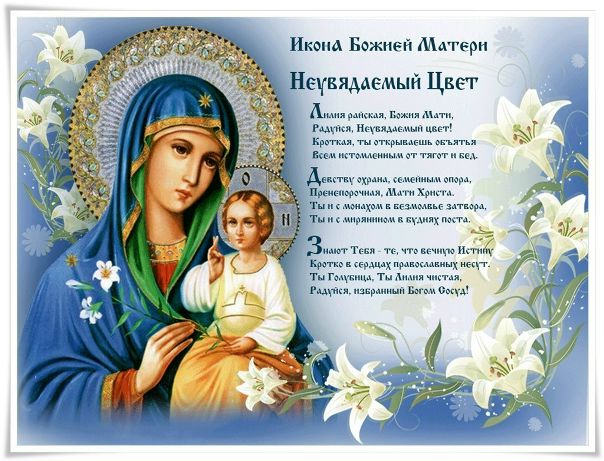Фото: 16 апреля- День чествования иконы Пресвятой Богородицы <br>«НЕУВЯДАЕМЫЙ ЦВЕТЕ» С праздником<br><br>О, Пресвятая и Пренепорочная Мати Дево, надеждо христиан и прибежище грешным! Защити всех в несчастиях к Тебе прибегающих, услыши стенания наша, приклони ухо Твое к молению нашему. Владычице и Мати Бога нашего, не презри требующия Твоея помощи и не отрини нас грешных, вразуми и научи нас, не отступи от нас, рабов Твоих, за роптание наше. Буди нам Мать и Покровительница, вручаем себе милостивому Покрову Твоему. Приведи нас, грешных, к тихой и безмятежной жизни, да оплачем грехи наши. О, Мати Марие, наша преблагая и скорая Заступнице, покрый нас Своим ходатайством, защити от врагов видимых и невидимых, умягчи сердца злых людей, возстающих на нас. О, Мати Господа Творца нашего! Ты еси Корень Девства и Неувядающий Цвет чистоты и целомудрия, пошли помощь нам немощным и обуреваемым плотскими страстьми и блуждающим сердцами. Просвети наши душевныя очи, да видим пути правды Божия. Благодатию Сына Твоего укрепи нашу слабую волю во исполнение заповедей, да избавимся от всякия беды и напасти и оправданы будем Твоим пречудным заступлением на Страшнем Суде Сына Твоего, Емуже мы воздаем славу, честь и поклонение ныне и присно, и во веки веков. Аминь.<br><br>Тебе, единственно-одной,<br>Благоуханной и Пречистой,<br>Неувядаемо-лучистой,<br>Недосягаемо-родной<br>Я сердце бедное свое,<br>Так исстрадавшееся в муке,<br>Отдам в Твои Святые руки<br>На оправдание мое...<br>И Ты призришь, взирая в нем<br>И то высокое стремленье,<br>И неумелое служенье,<br>И покаянье... День за днем.<br>И всей Своею Чистотой,<br>Пренепорочностью и Светом<br>Омоешь нежно сердце это<br>И...тихо скажешь: 