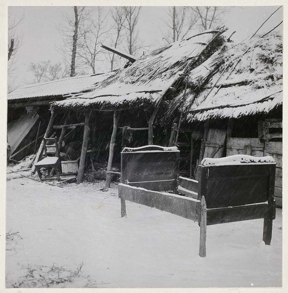 Вернер Бишоф — швейцарский фотограф и фотожурналист, член агентства Magnum с 1949 года до самой своей гибели в 1954-м. Даже став признанной звездой фотоискусства, Бишоф так и не расстался со