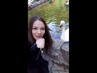 20180521_171204.mp4