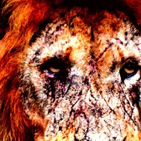 Давид Юртаев