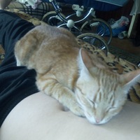 Алина Феликс |