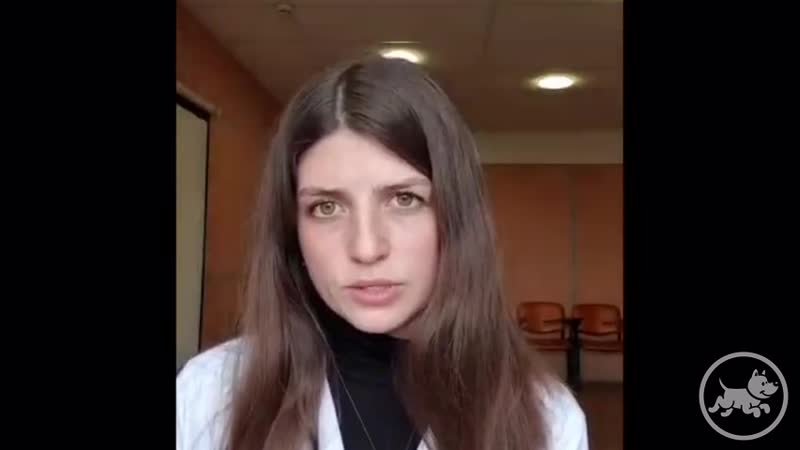 Ошейники от гельминтов