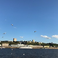 Мадина Бородина