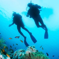 Лёша Артемьев