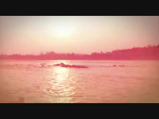 Deva Premal and Miten_ Sri Nanda-Nandanastakam, Password