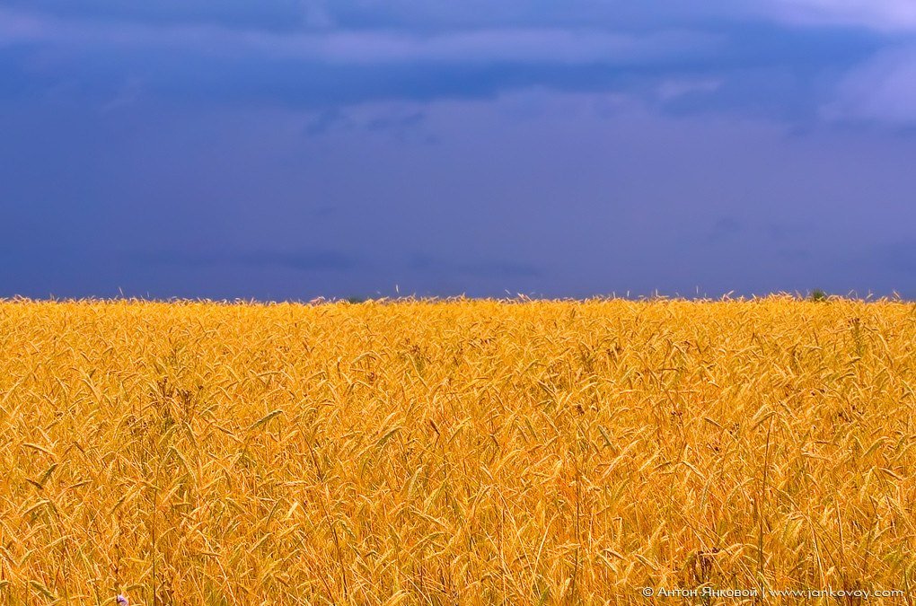 Українська народна пісня