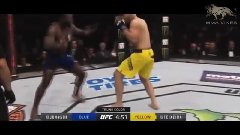 MMA VINES by Vital 165