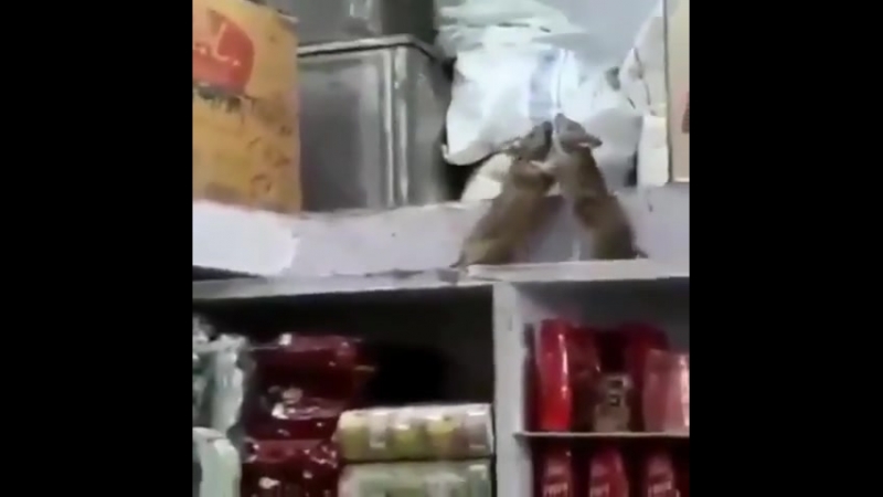Бой, который мы заслужили
