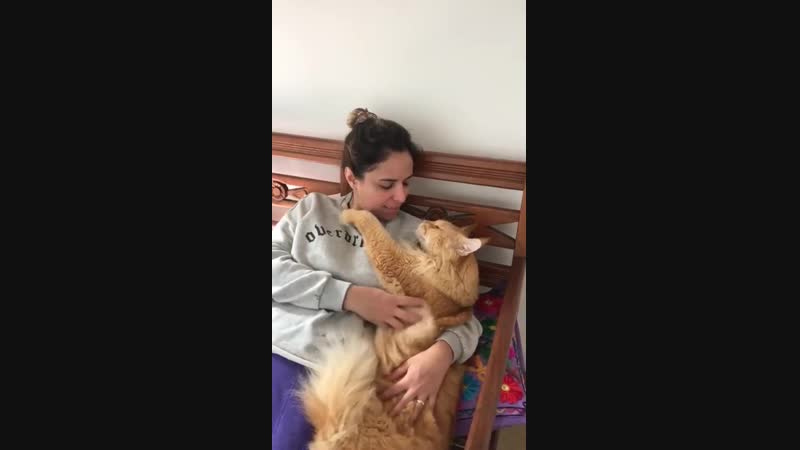 A sweet giant