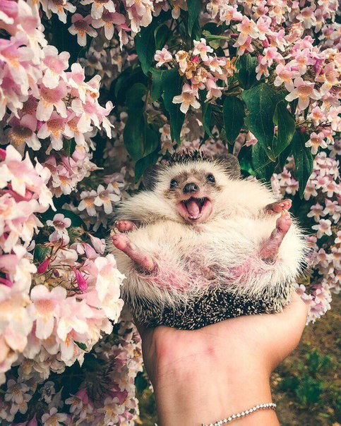 :3