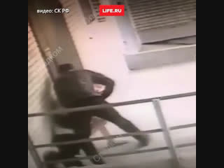 Храбрый пёс защищает хозяйку от убийцы