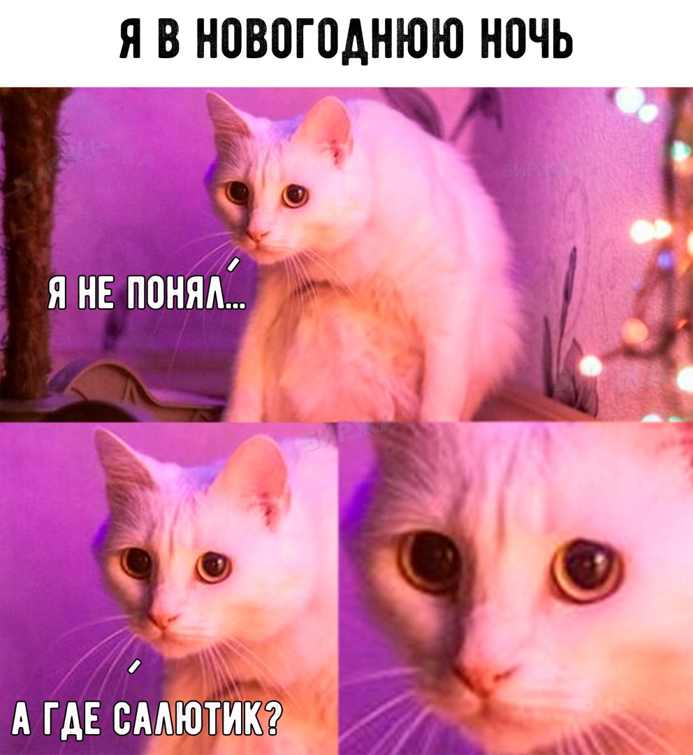 SZt4iWQW8m4.jpg