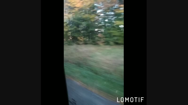 Autumn🍁