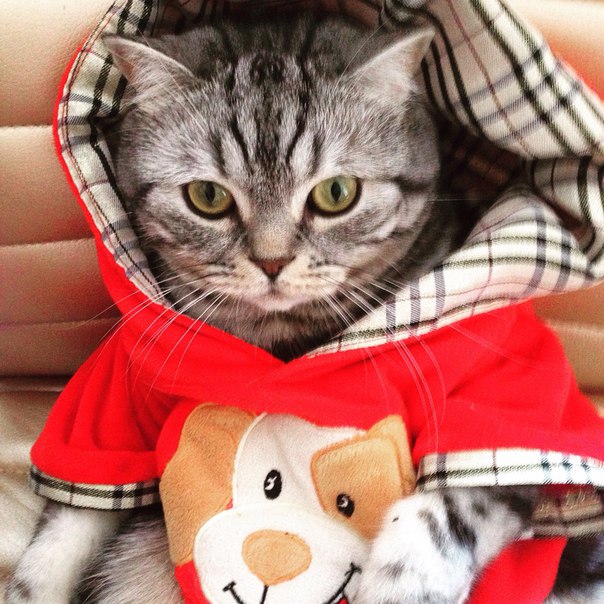 Даша Земцова, Россия, Петрозаводск