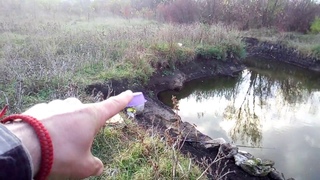 Пруд, водоём для разведения раков от А до Я!