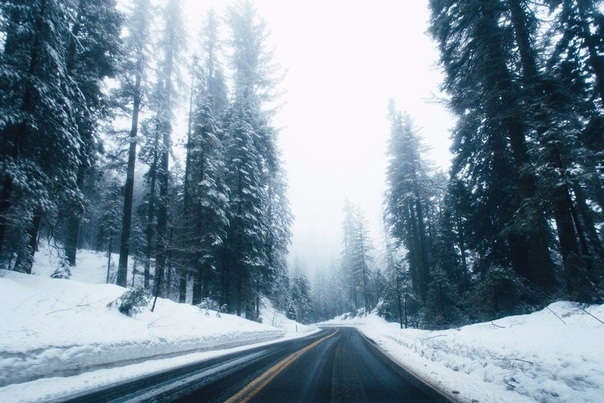 Yosemite National Park