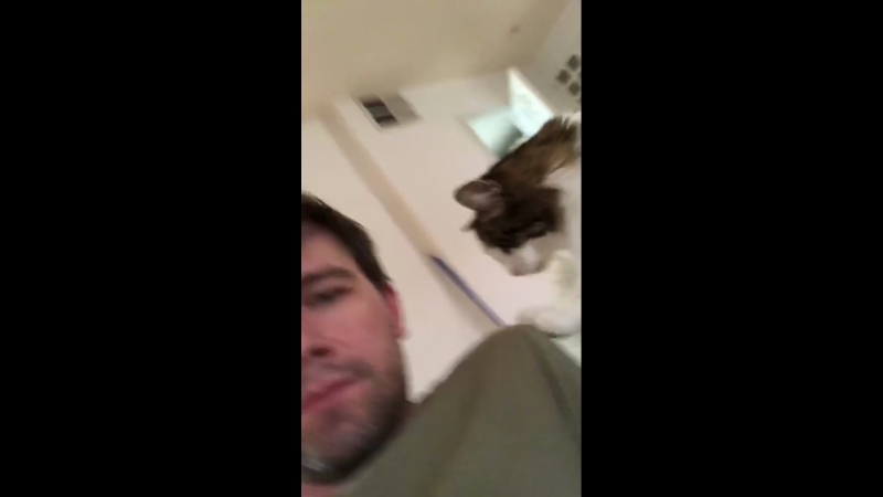 Instagram Torrance Coombs.