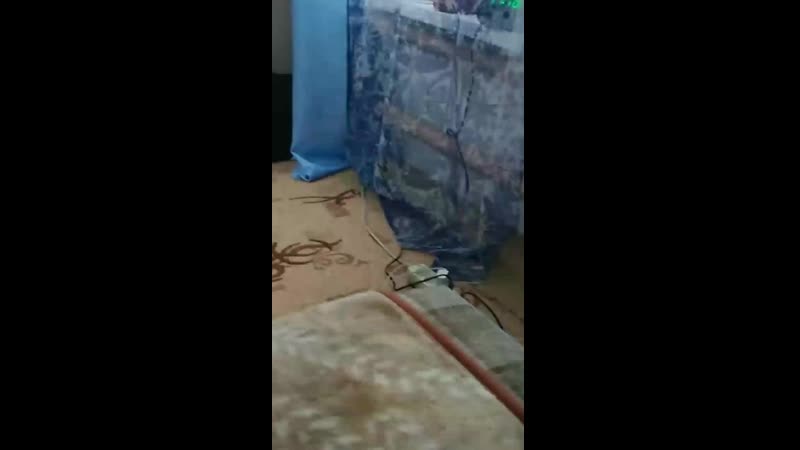 пиздим шмеля