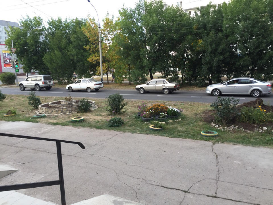 Фотография