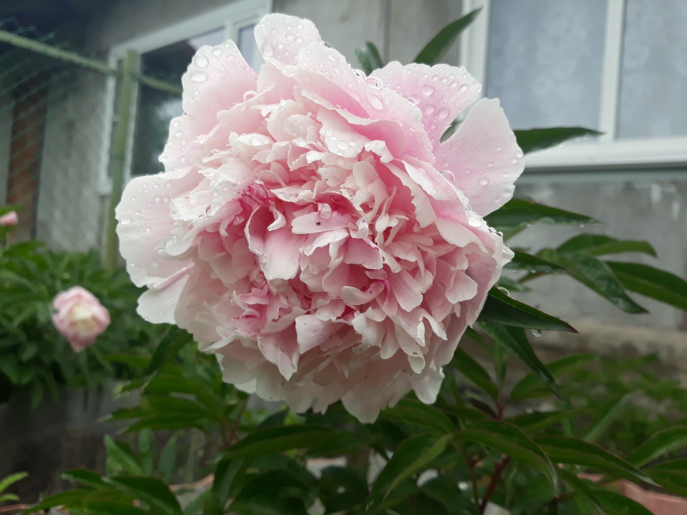 фотография из вКонтакте