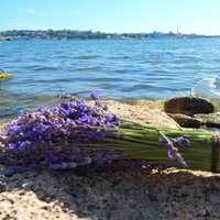Виктория Косенко | Севастополь