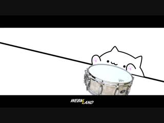 Котики