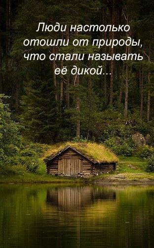 #usladovpir
