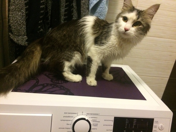 Такую малышку, безумно добрую. Умную. Хотели выкинуть. Ей вс