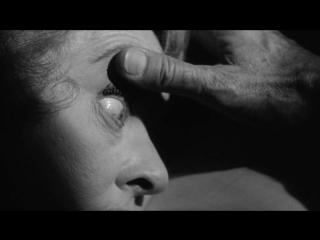 ТИШЕ... ТИШЕ, МИЛАЯ ШАРЛОТТА (1964) - ужасы, триллер, детектив. Роберт Олдрич 1080p