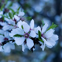 Ольга Костюкевич | 