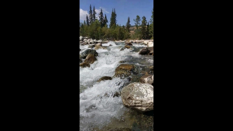 VID_20170829_125107.mp4