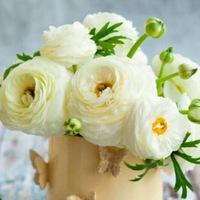 Кристина Пушкина | 