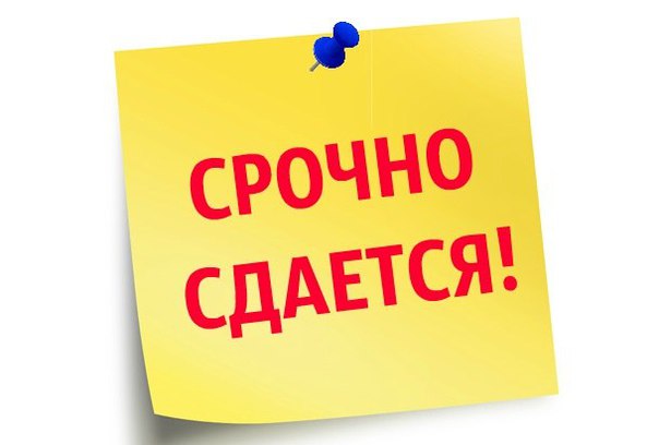 Сдается изолированная комната в трехкомнатной квартире для одного человека на длительный срок.<br><br>Метро Ясенево, Новоясеневская , Битцевский парк, 10 минут пешком.<br>Комната 18 кв.м., балкон. <br>В соседних комнатах девушка с парнем и молодая женщина. <br>Из бытовой техники в квартире: холодильник, микроволновка, тостер, стиральная машина, утюг.<br>В комнате из мебели: диван, раздвижное кресло, стеллаж, письменный стол, тумбочка, ниша под гардероб с полками для одежды.<br>Цена 14000 руб/мес (свет, вода и интернет уже включены в стоимость) + депозит или оплата за последний месяц. - фото Фото: Сдается изолированная комната в трехкомнатной квартире для одного человека на длительный срок.<br><br>Метро Ясенево, Новоясеневская , Битцевский парк, 10 минут пешком.<br>Комната 18 кв.м., балкон. <br>В соседних комнатах девушка с парнем и молодая женщина. <br>Из бытовой техники в квартире: холодильник, микроволновка, тостер, стиральная машина, утюг.<br>В комнате из мебели: диван, раздвижное кресло, стеллаж, письменный стол, тумбочка, ниша под гардероб с полками для одежды.<br>Цена 14000 руб/мес (свет, вода и интернет уже включены в стоимость) + депозит или оплата за последний месяц.